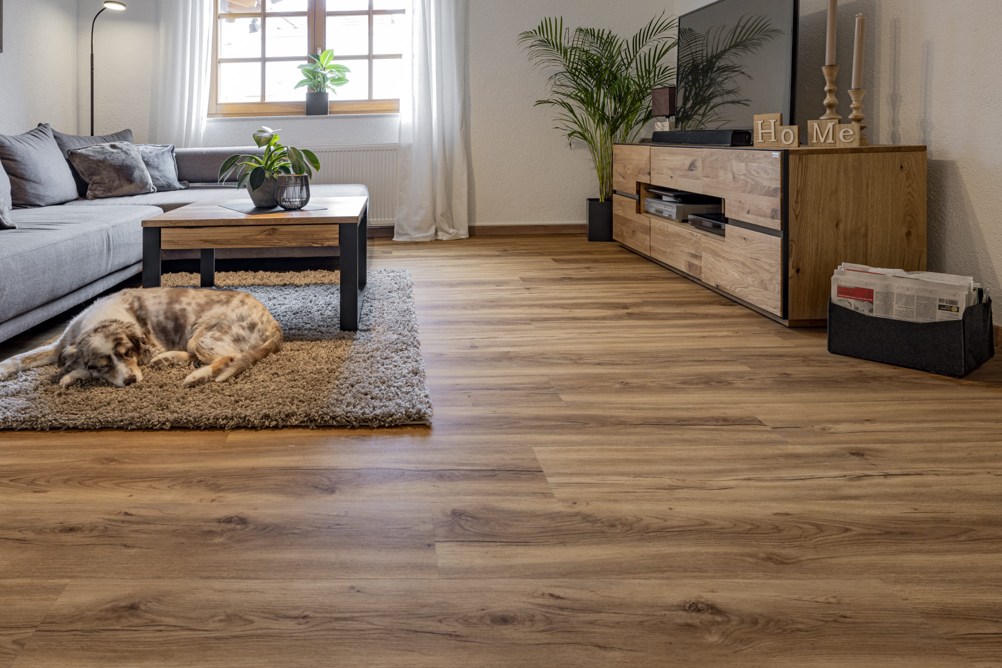 renovation-project-02